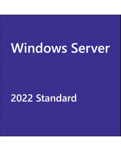 Windows Server 2022 Standard 64 Bit Key