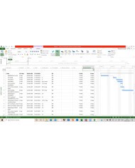Project Professional 2021 32/64 Bit Key