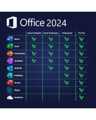 Microsoft Office 2024 Professional Plus ONLINE KEY