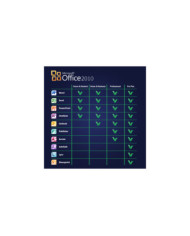 Microsoft Office 2010 Professional Plus KLUCZ PL
