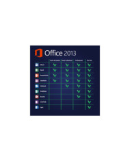 Microsoft Office 2013 Professional Plus KLUCZ PL