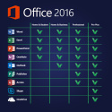 Microsoft Office 2016 Professional Plus KLUCZ ONLINE PL