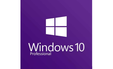 Windows 10 pro / home
